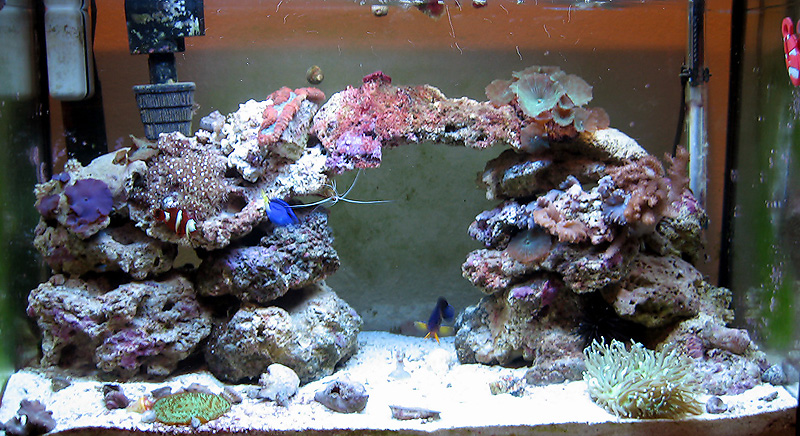 tank-01-23-06.jpg