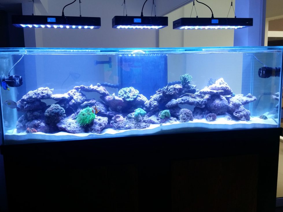 20150806_165513.jpg