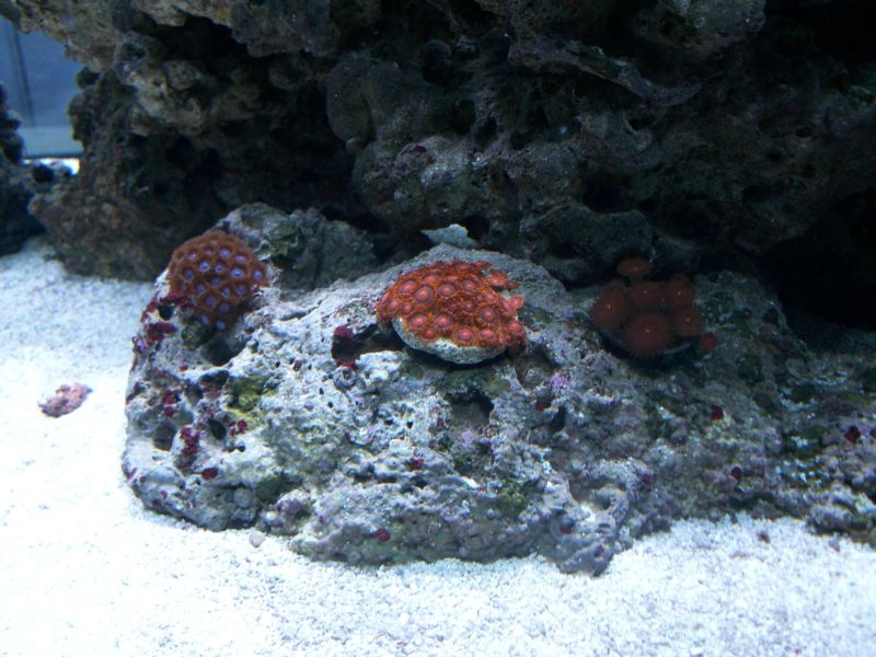 100_8518.jpg