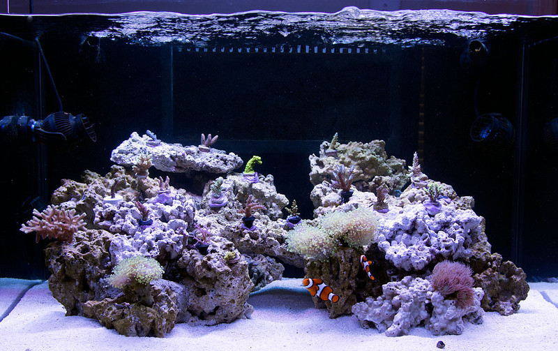 FTS-04-14-2013-L.jpg