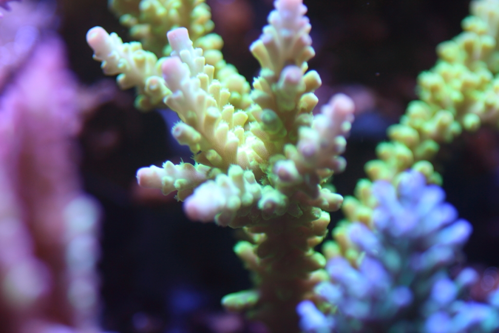 Nov2013M0014.JPG
