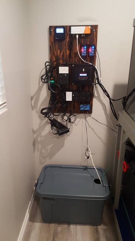 a1305f5f538d5d78ae396c66fd867855.jpg
