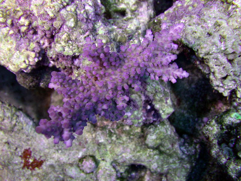 DSCN3535.jpg