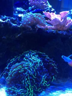 ae7a07775b74e9ce4a2a2fd9baf124ea.jpg