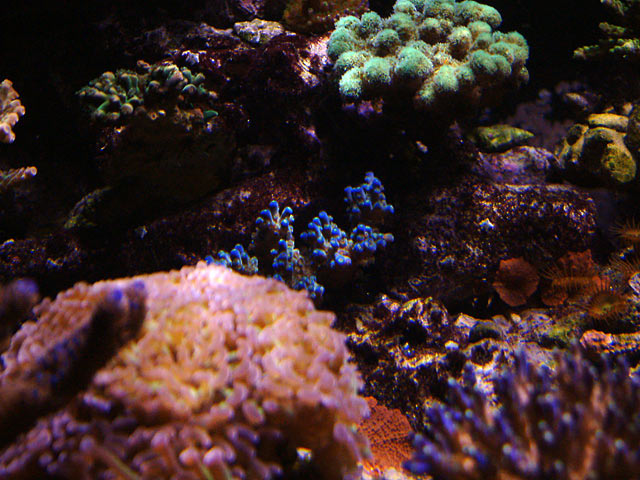 next_wave_frag_0730.jpg