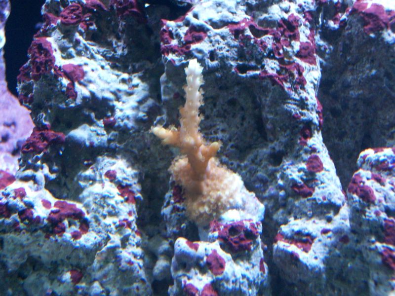 100_8534r.jpg