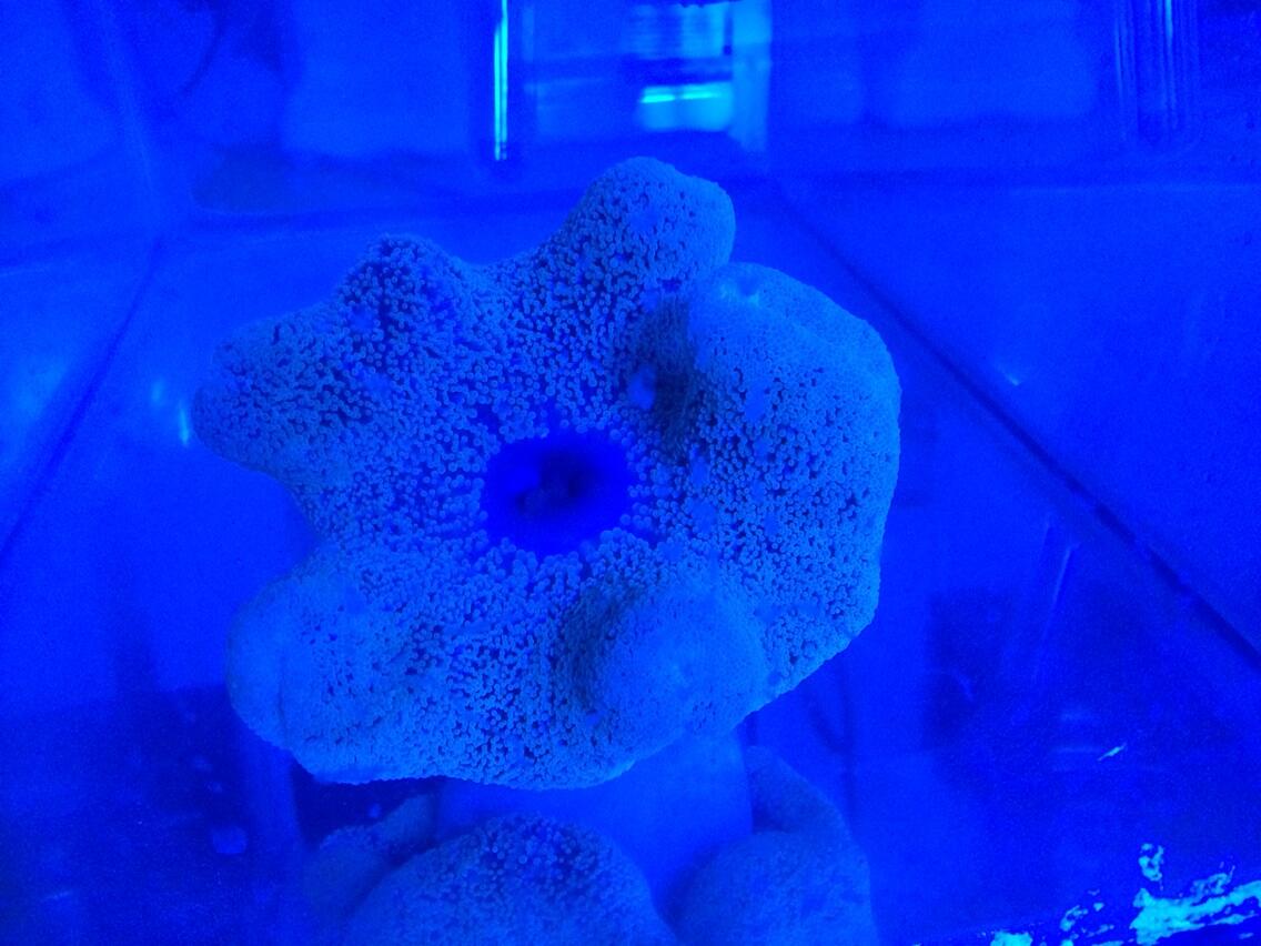 BpK2BRzIEAAjP9X.jpg:large