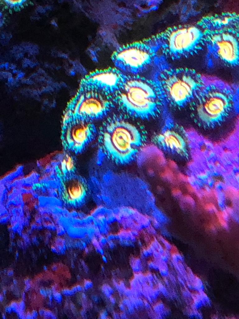 c70e3aa384081f4c5b9ef7fa591bca4f.jpg