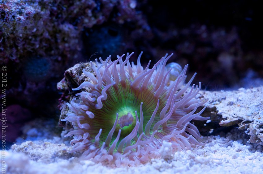 20120125-_DSC6557.jpg