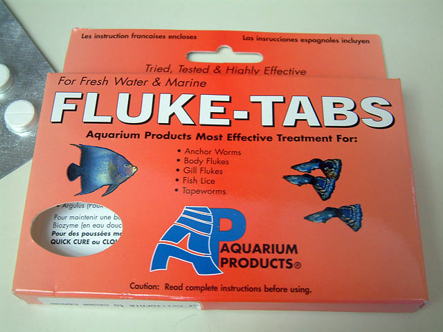 fluke2.jpg