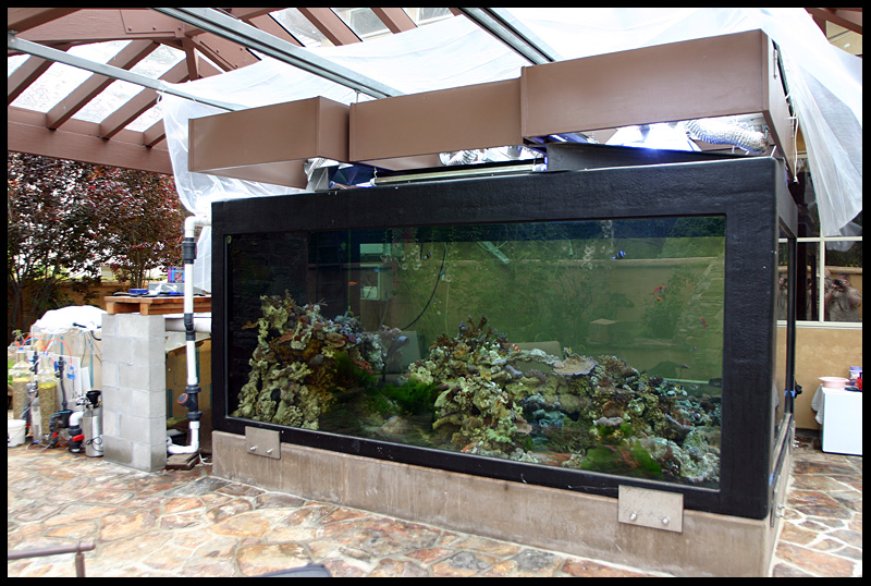02_large-full-tank-side.jpg