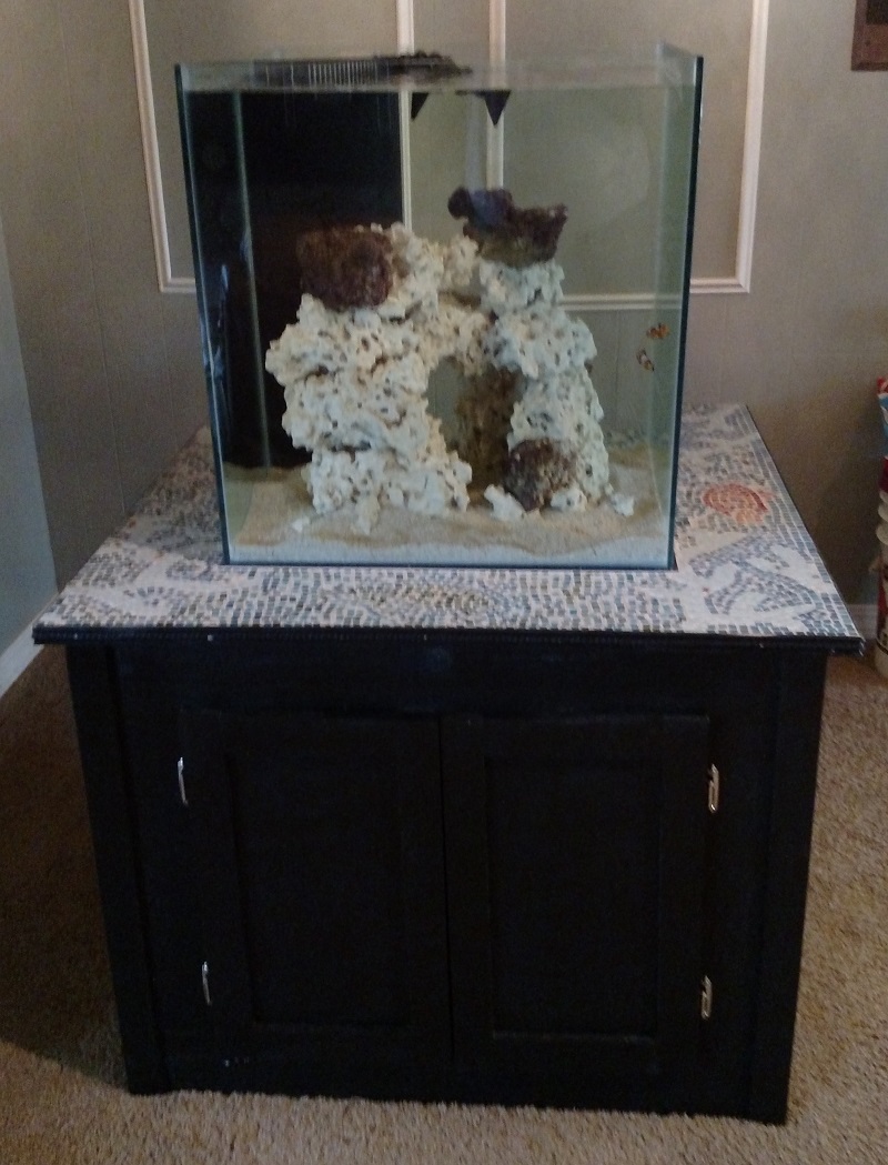 fts090915.jpg