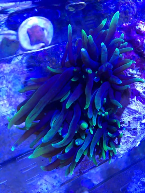 62d7fd35c779d5ea9c4c65f284bf5515.jpg