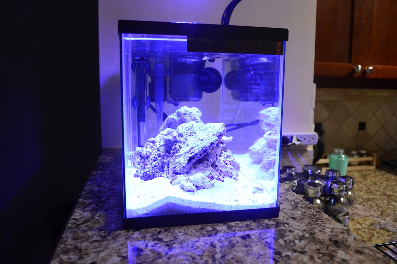 Fish3.JPG