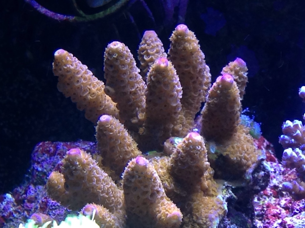 fc9a10f565f949e2cd1ff3b0271ec394.jpg