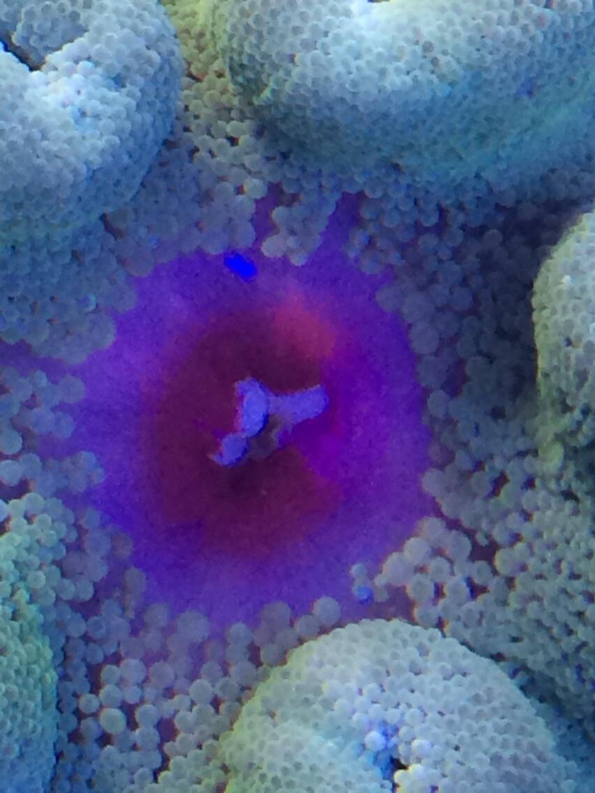 Bpel8K2IAAAK_f5.jpg:large