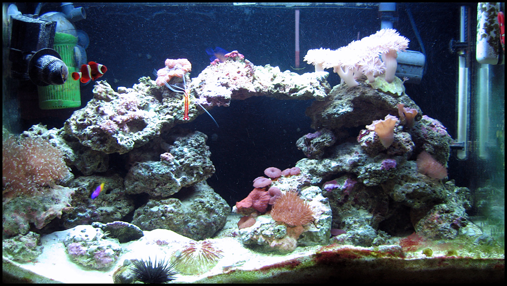 tank-07-09-06.jpg