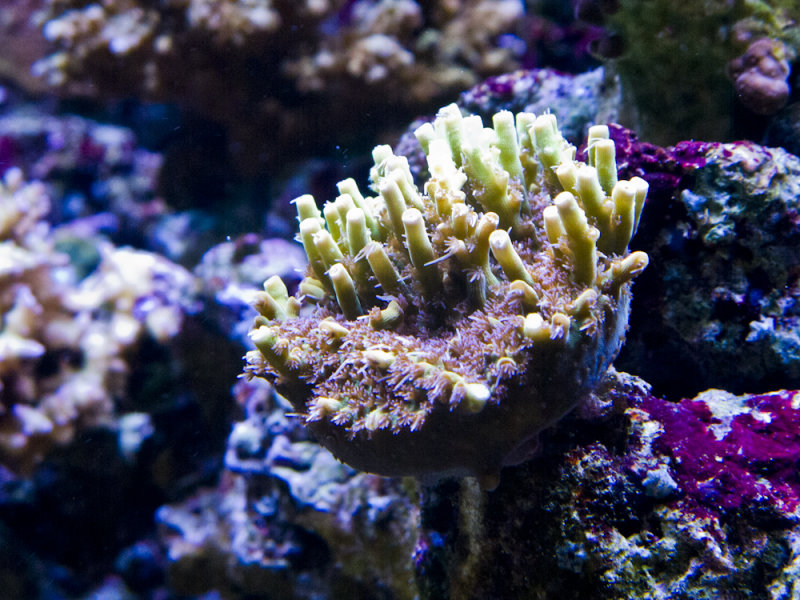 140048053.jpg