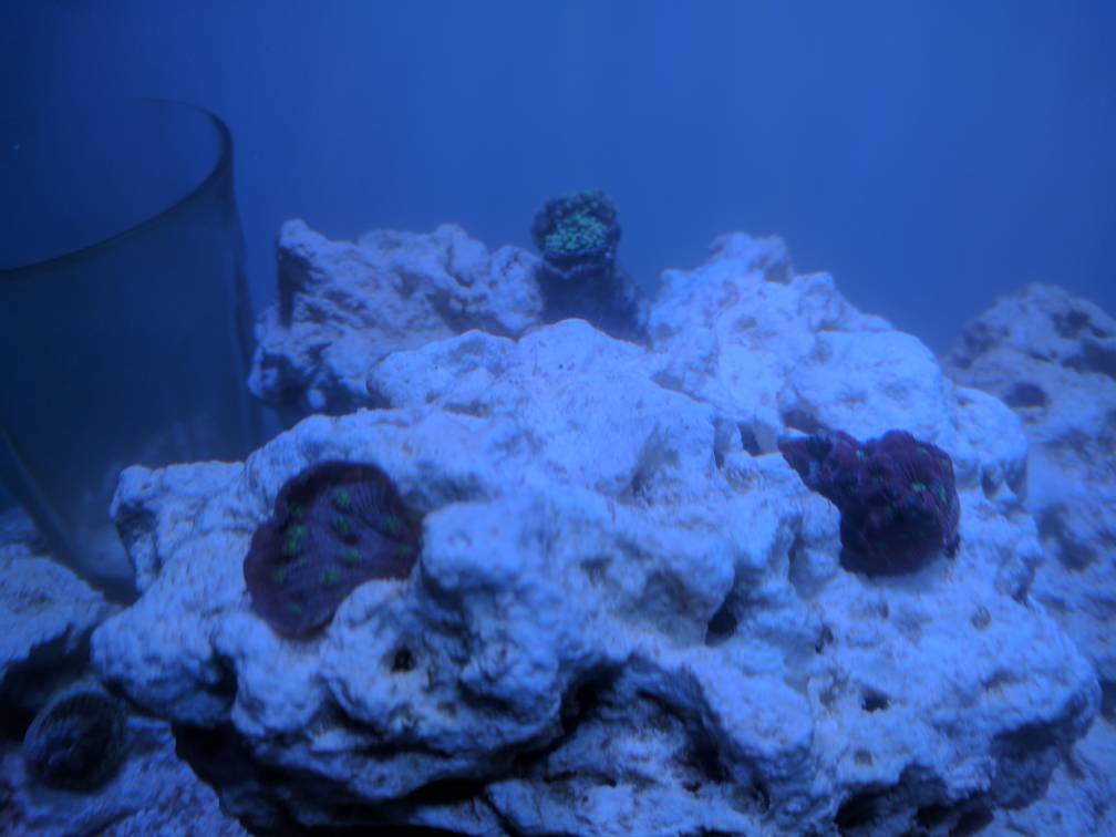 6d5f3645deca1007f7902e5bdb5f63a1.jpg