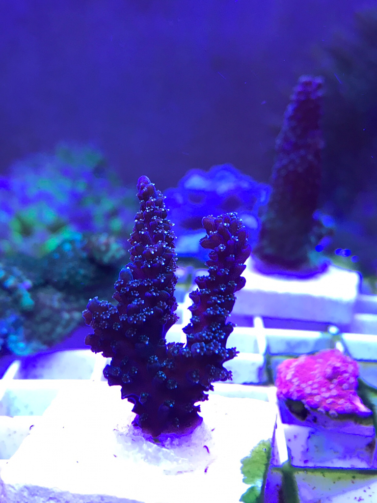 84765ac53523e5307f896408dfba55c9.jpg