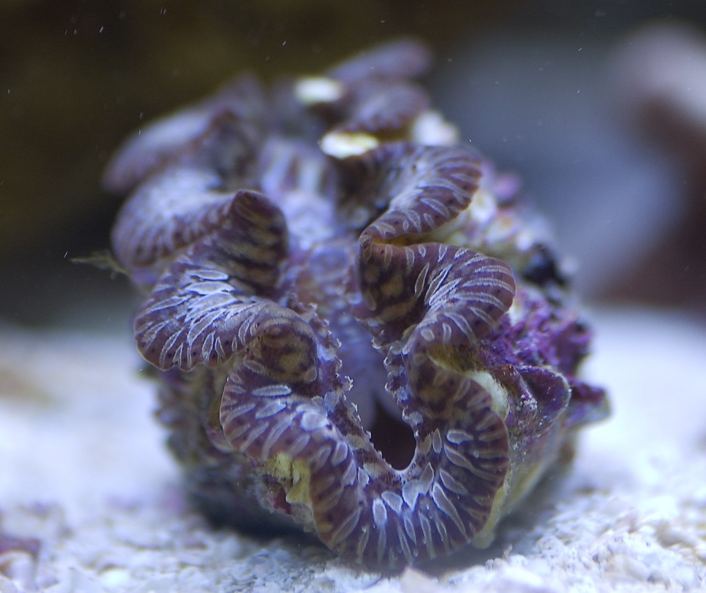 DSC_3811.jpg