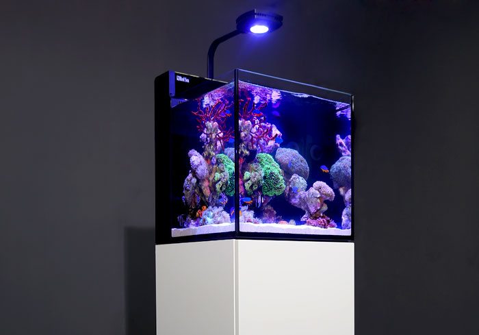 max-nano-side.jpg