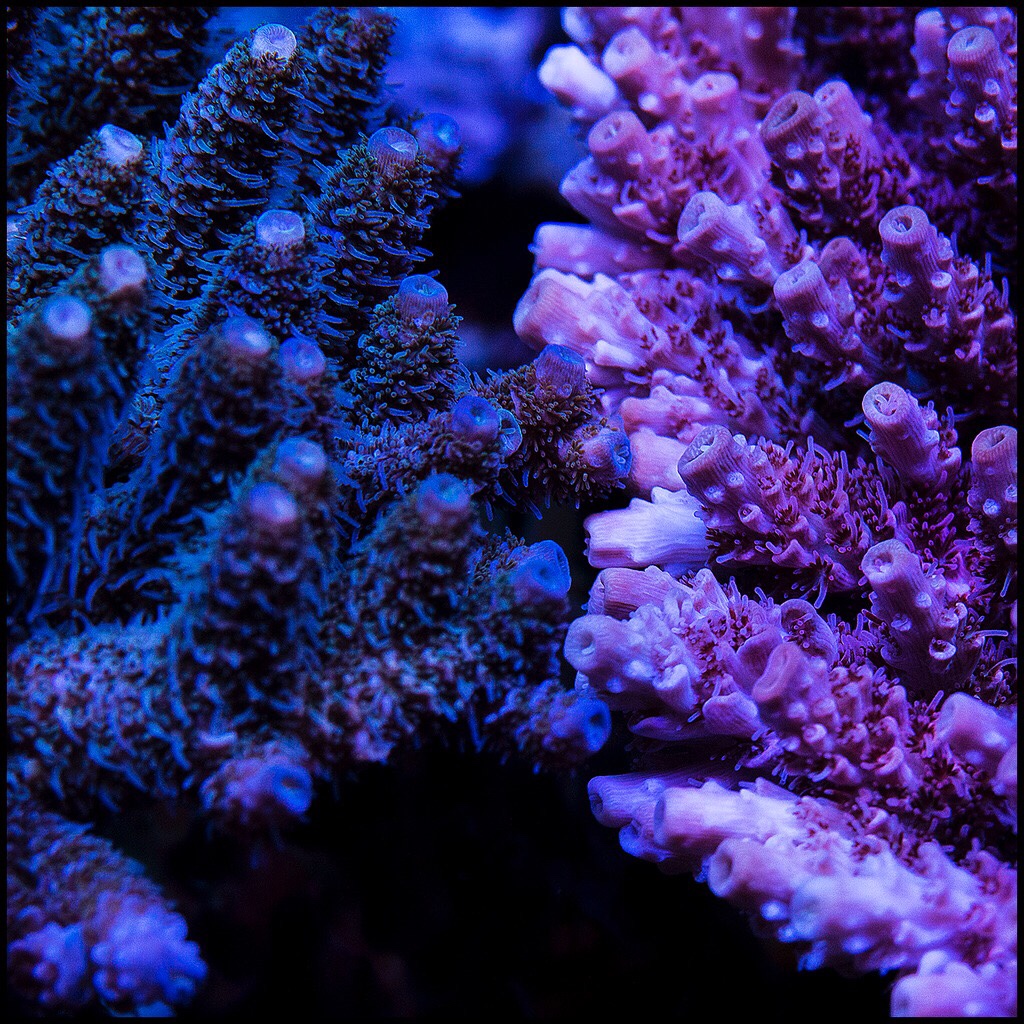 7723e403240fdd922b88dd4c6c660e85.jpg