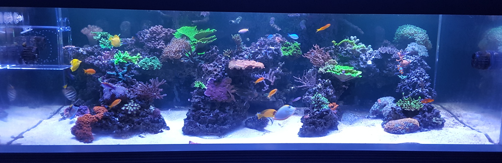 20150907_205625-XL.jpg