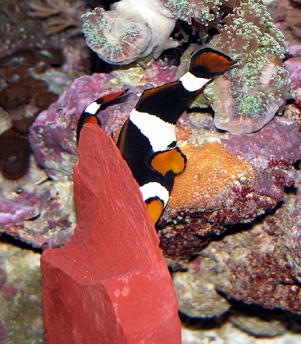 DSCN7717.jpg