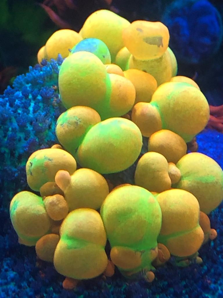 8e993f00d1e1eebf410153f2f4aace8c.jpg