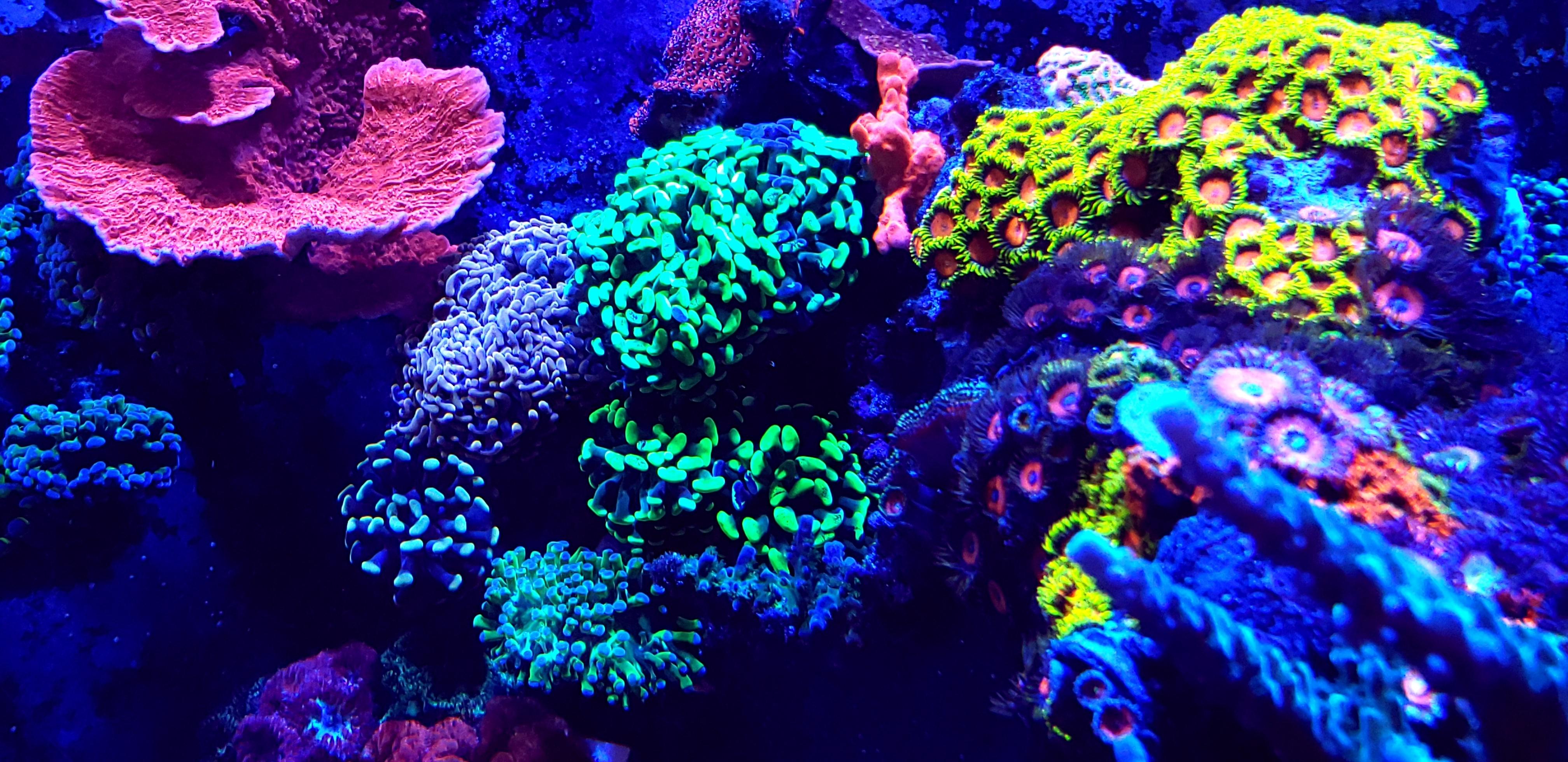 5304e19ed4475c1fd58586b2241a4ac5.jpg