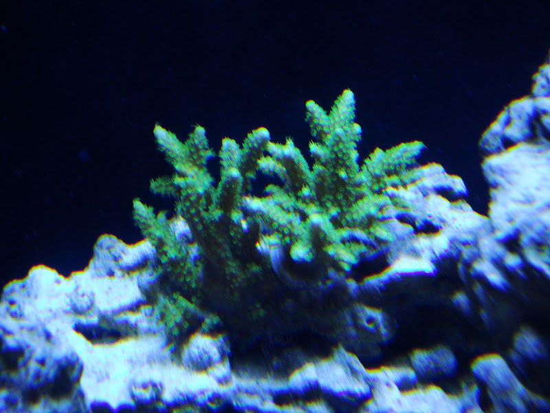 stuff121010%20030.JPG