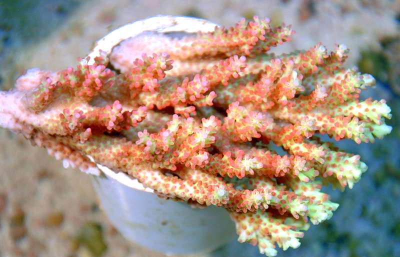 e_8-28-21-1.jpg