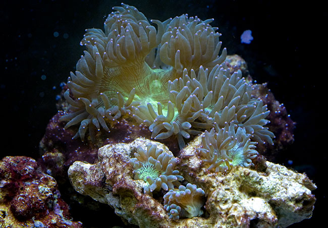 NanoMar30_08a.jpg