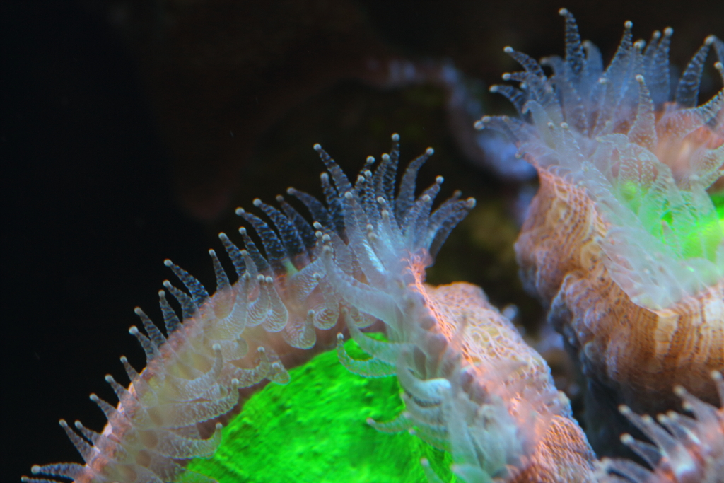 Nov2013M0073.JPG