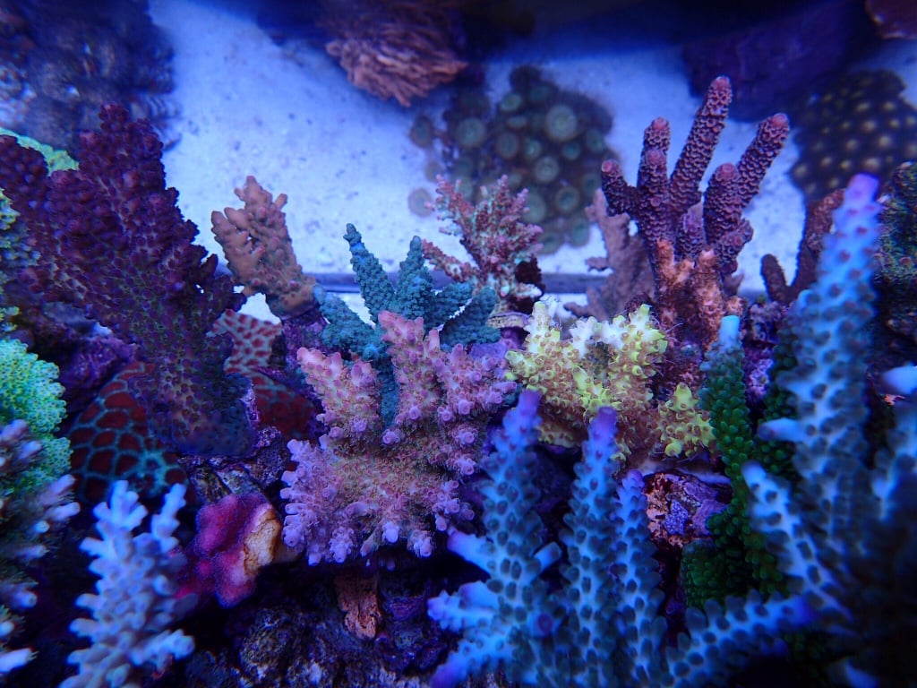 3ea4f865c98dfd44c7d1cbef64318c96.jpg