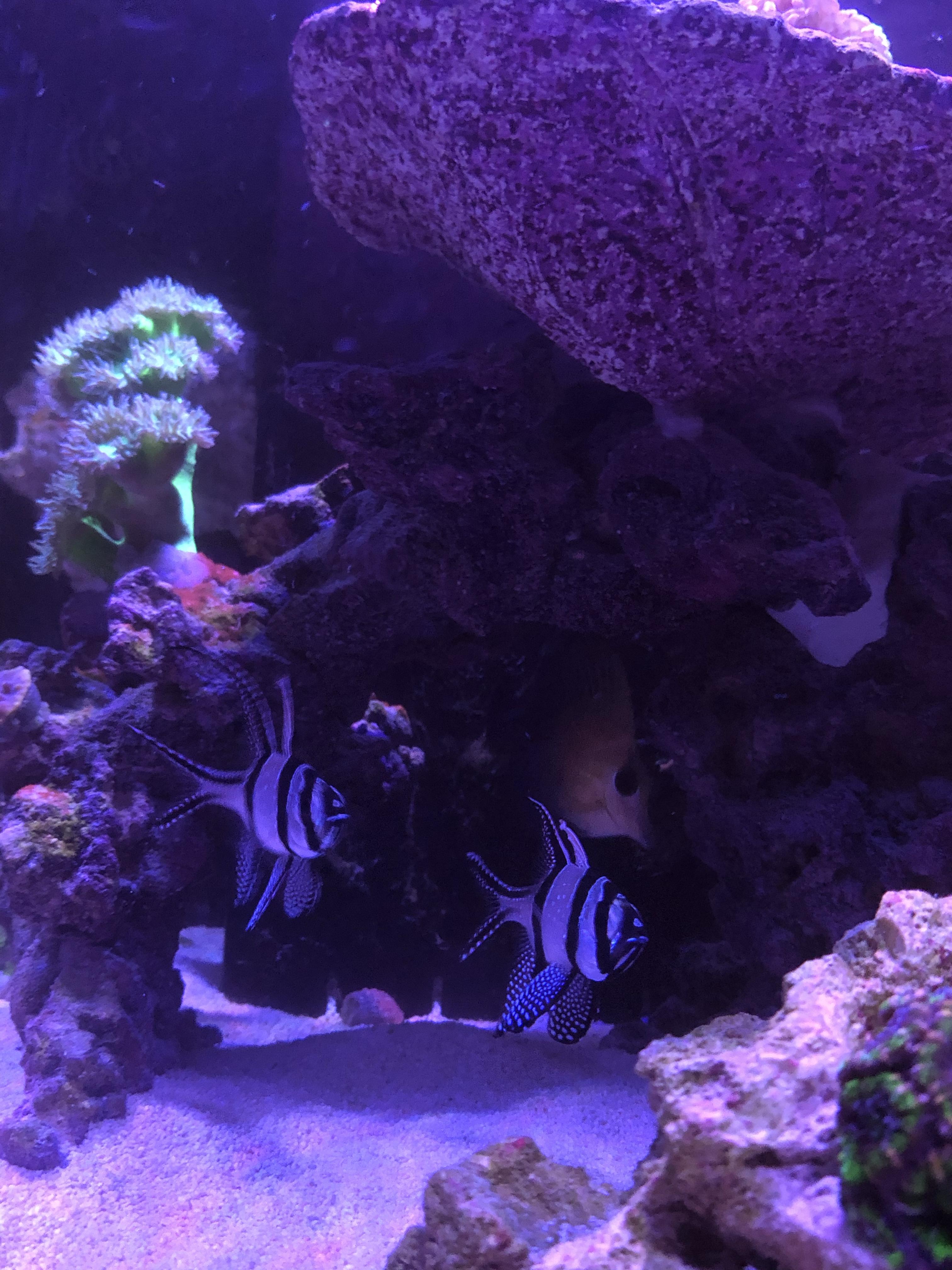 bf0f3d7822aa4ab007a7943c55c7e029.jpg