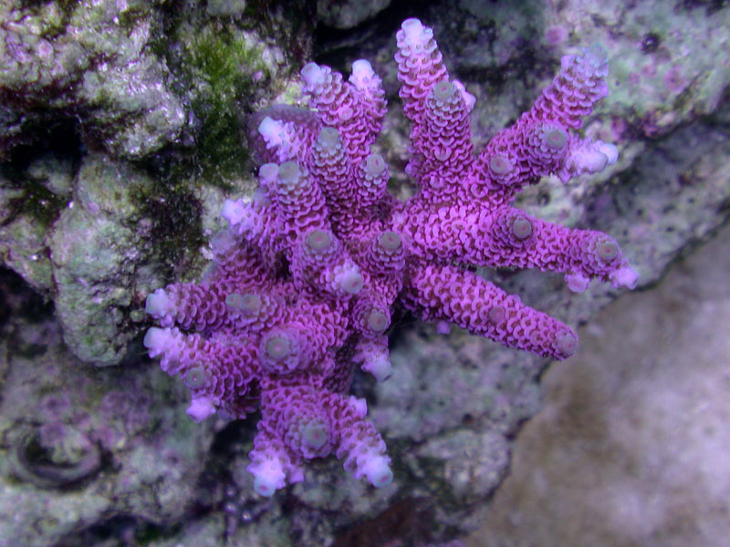 DSCN3519.jpg