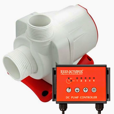 DC-pumps.jpg