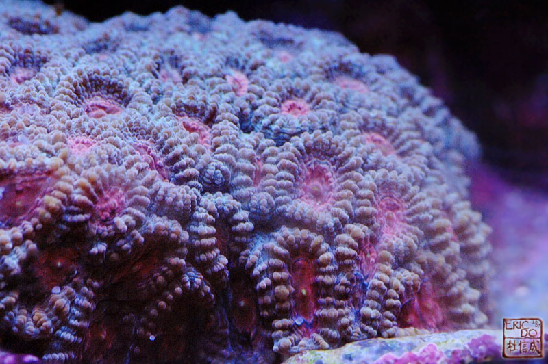D2X_0903.jpg