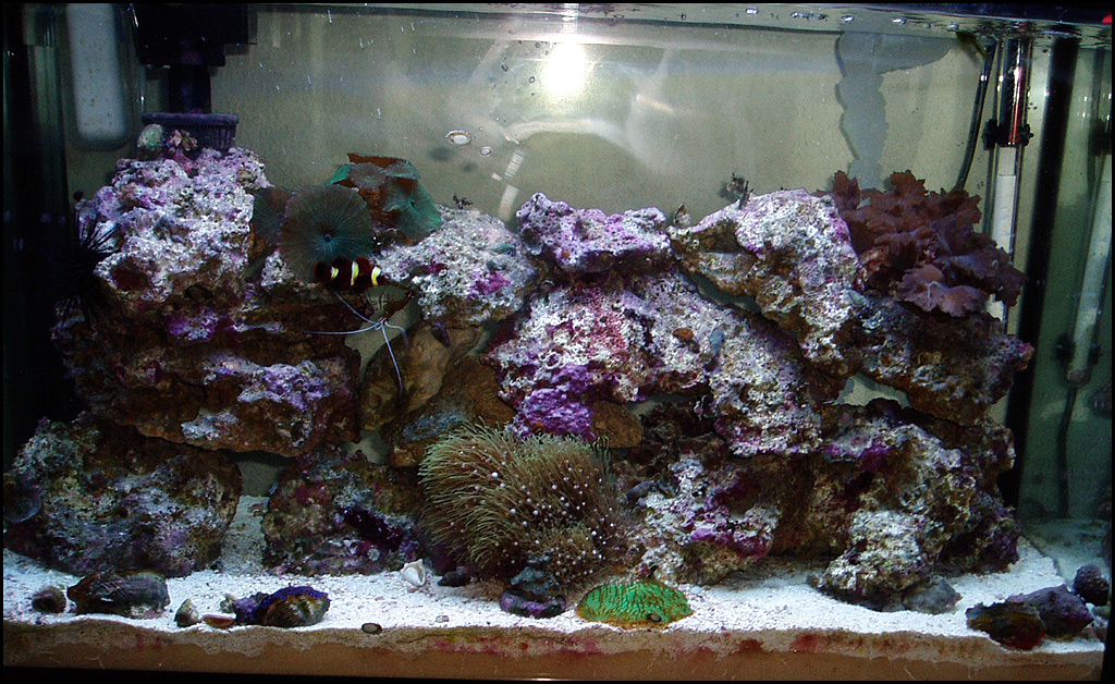 tank-06-03-05.jpg
