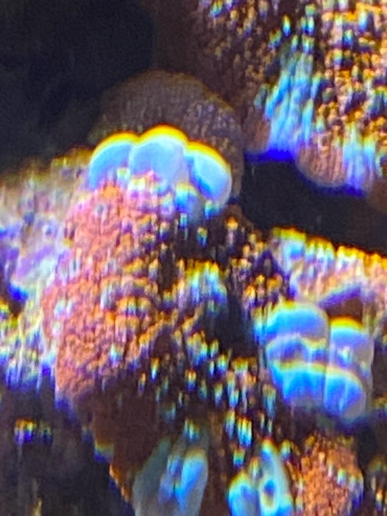 83033917415a26b252fce2026f450c40.jpg