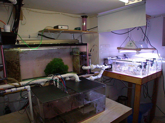 DSCN5707.jpg
