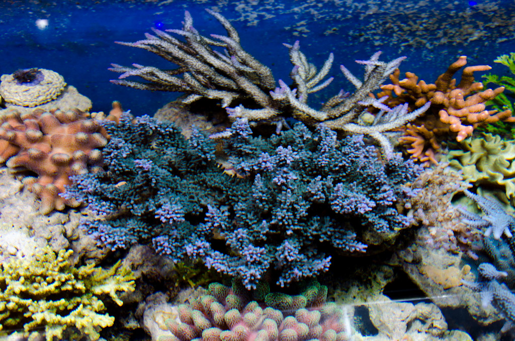 DSC_3724.jpg