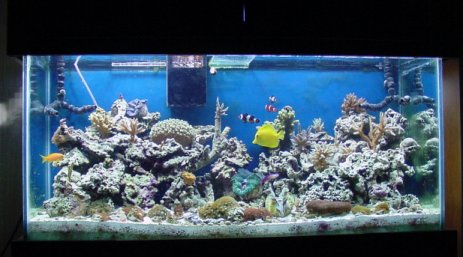 90gallon904.jpg