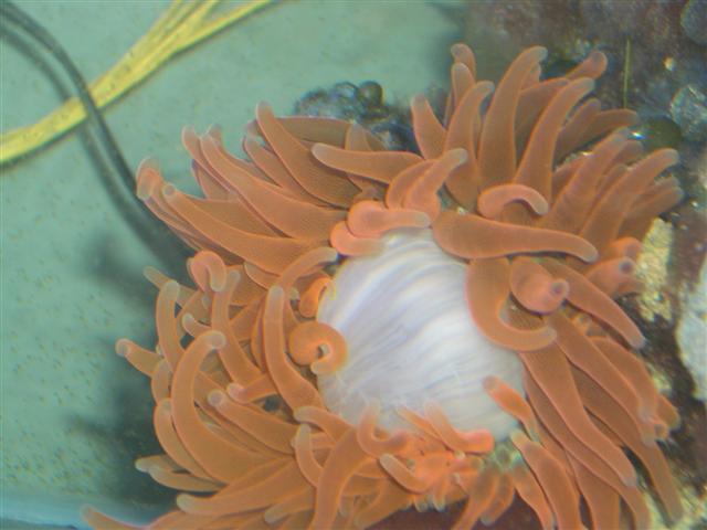 IMGP1165 (small).jpg