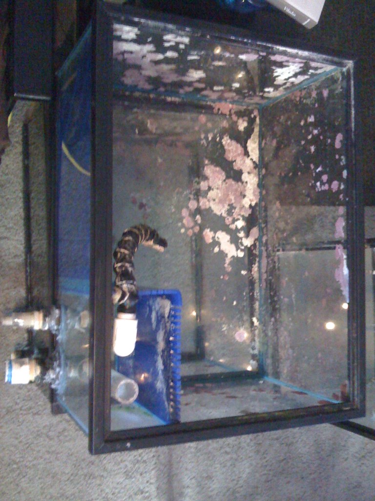 tank6.jpg