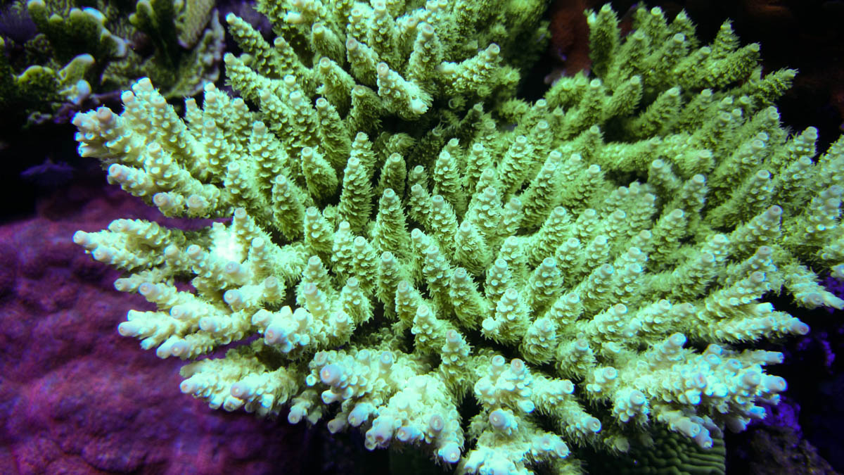 DSC_0036.jpg