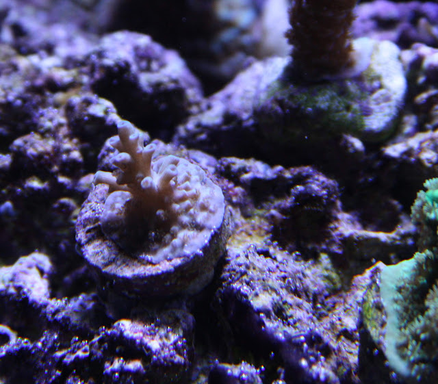IMG_5426_crop.jpg