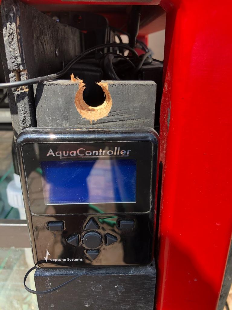 aac545182a2b15fa29d0c54f97cfca09.jpg